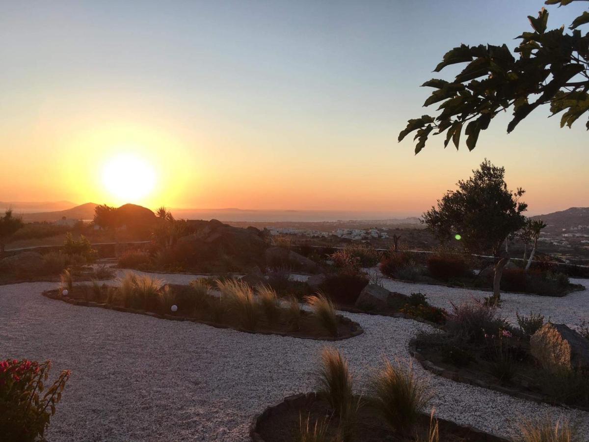 Sunset Apartments Glinado Naxos Eksteriør billede